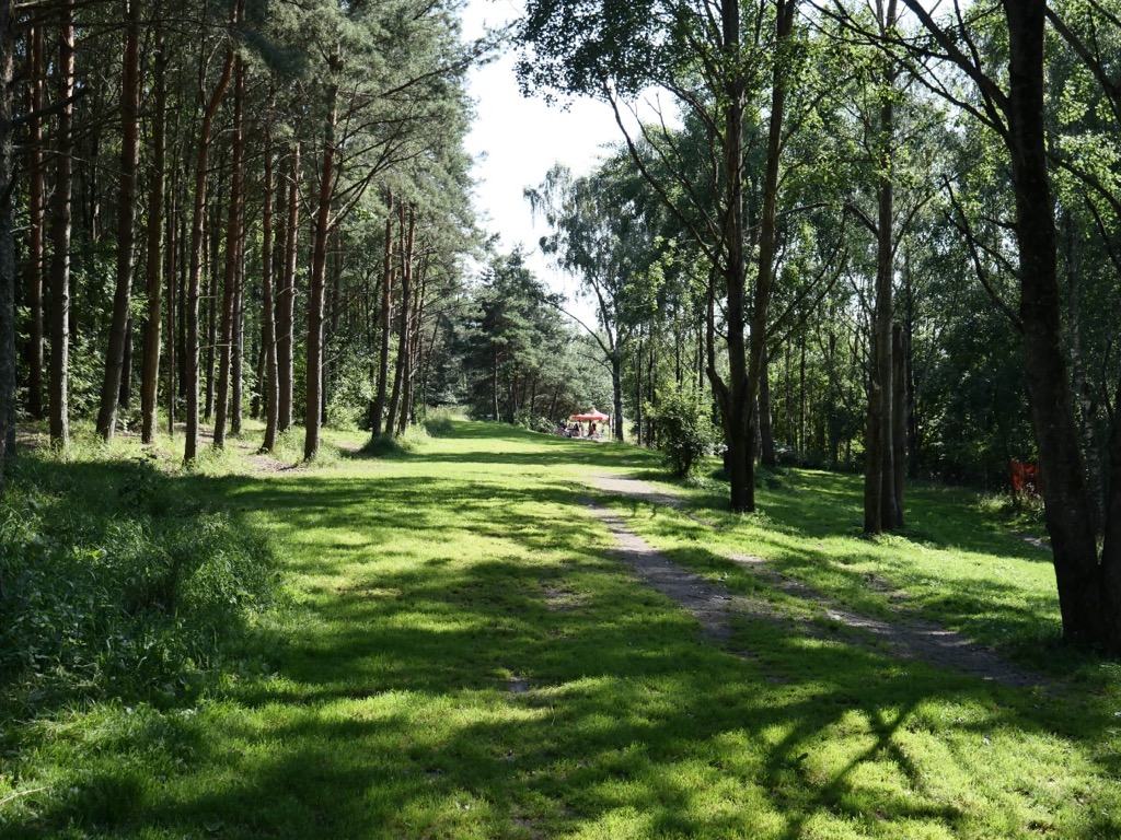 Talin frisbeegolfpuisto